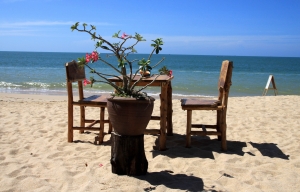 Love through sense of summer…