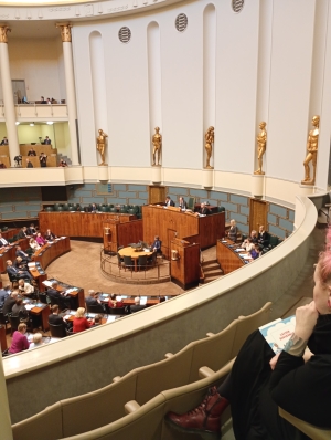 ...Vihreät, De Gröna, The Greens, yleiskommenteja ohjelmaan 2027...